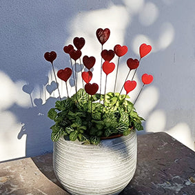 Collection Amour
